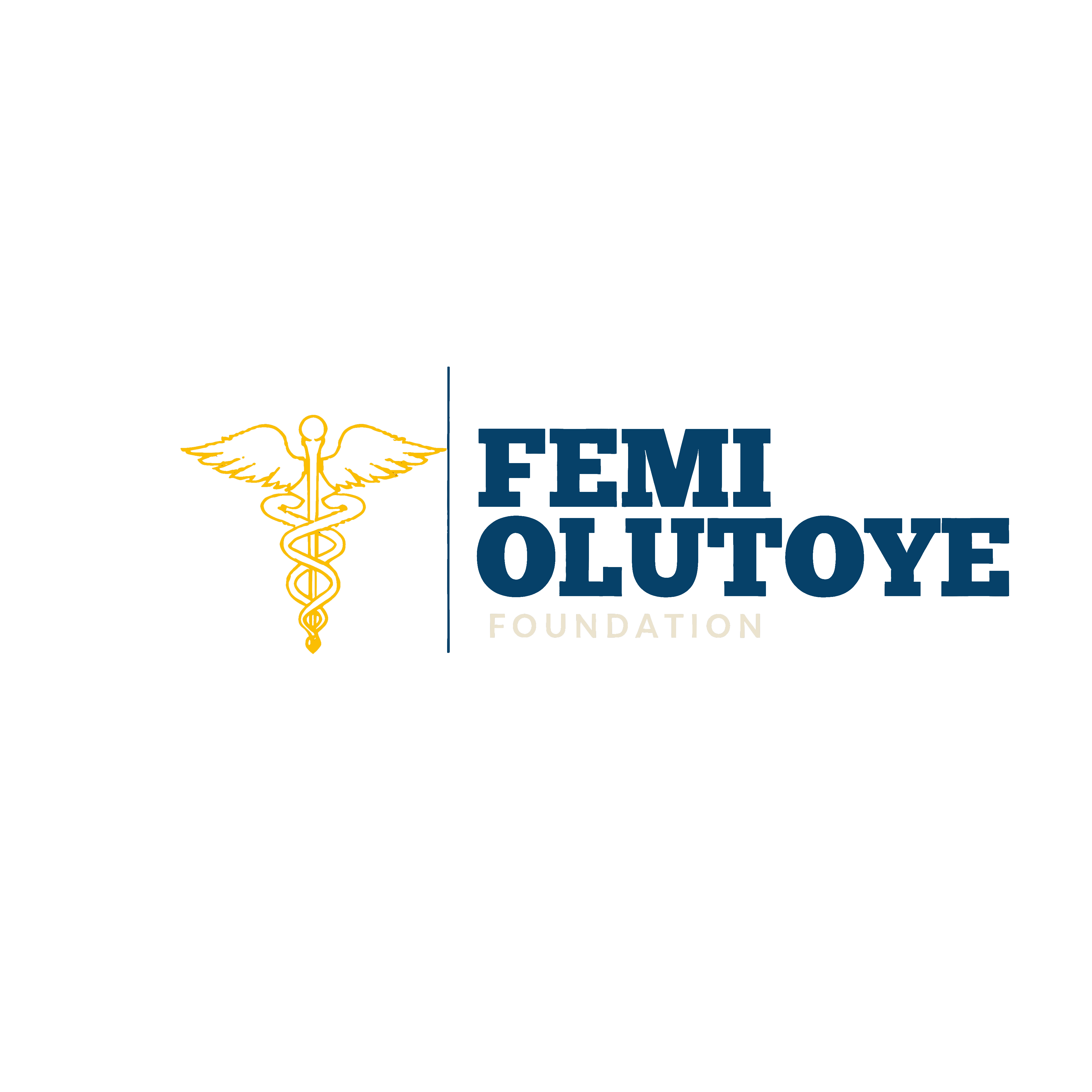 Femi Olutoye Foundation